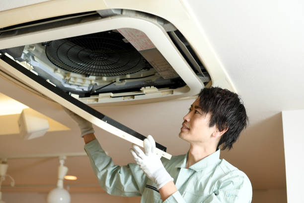 Best Professional Duct Cleaning Services  in Dianapolis, IN